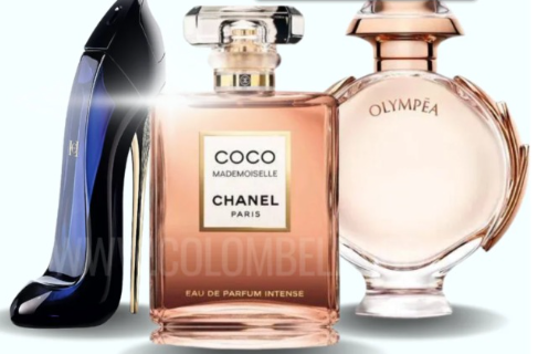 KIT 3 PERFUMES (Coco+GoodGirl+Olympea)